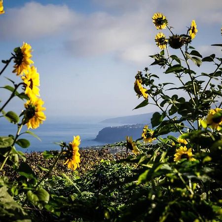 La Perdoma Finca Maranuela מראה חיצוני תמונה