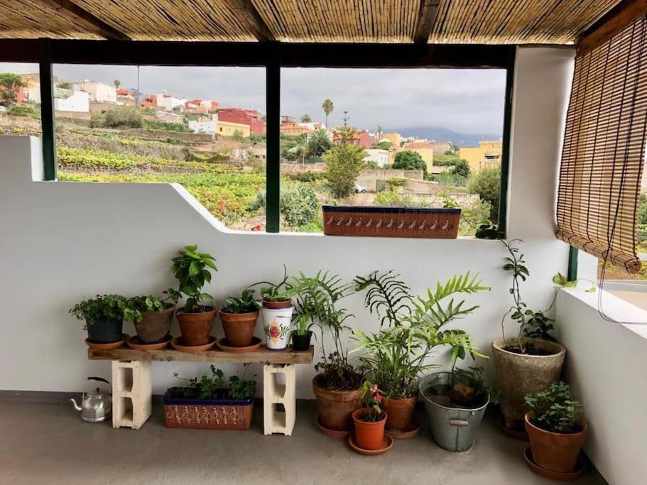 La Perdoma Finca Maranuela מראה חיצוני תמונה